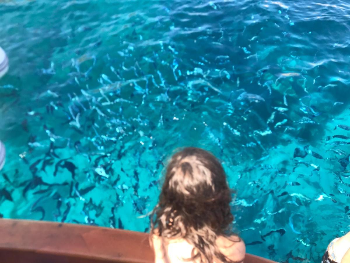 Casa Ilva Hotel La Maddalena  Eksteriør billede